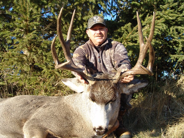 Trophy Mule Deer Hunting Alberta