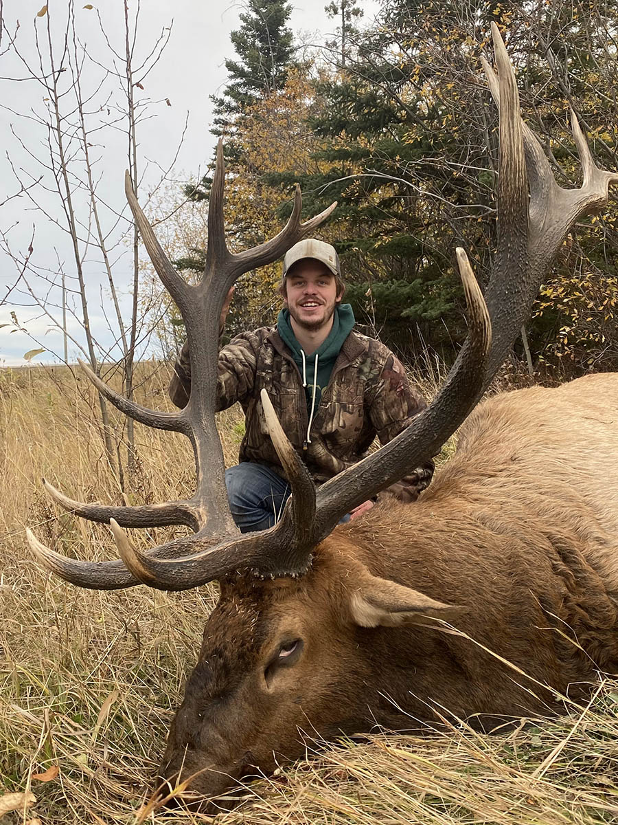 Alberta Canada Elk Hunts