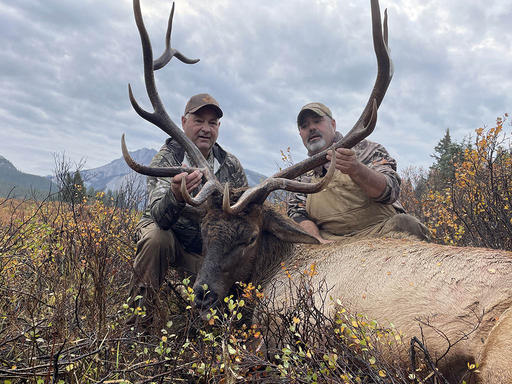 Elk-Hunting-Alberta