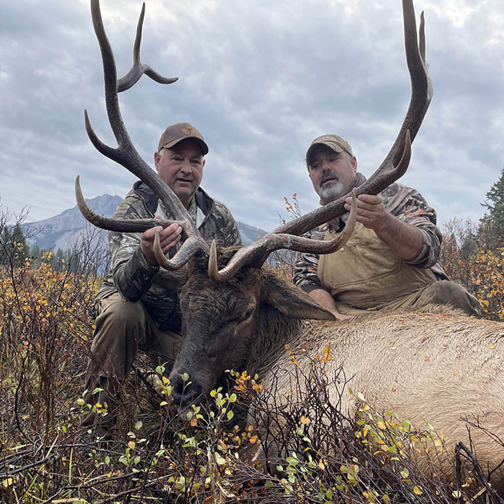 Elk-Hunting-Alberta