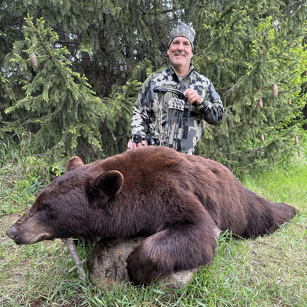 blackbearhunting-2025