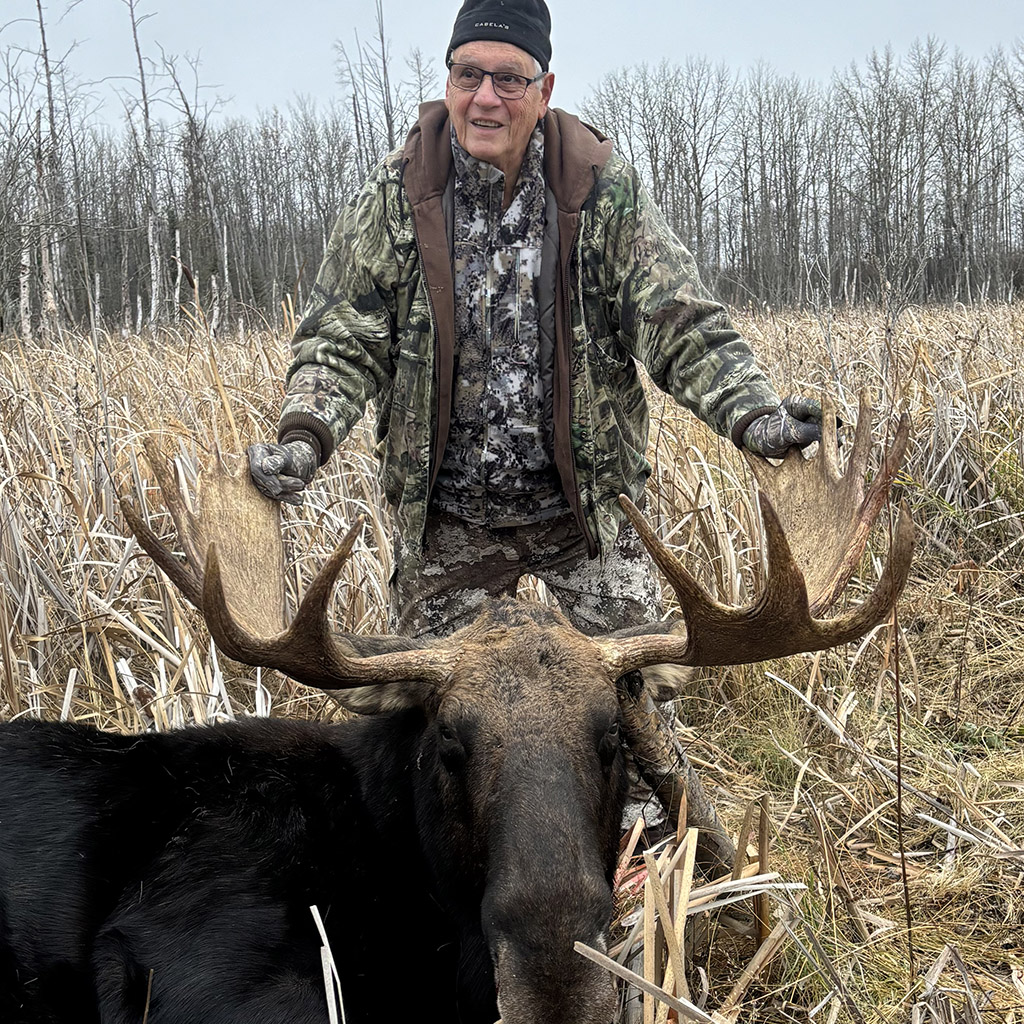 moose-hunting-alberta