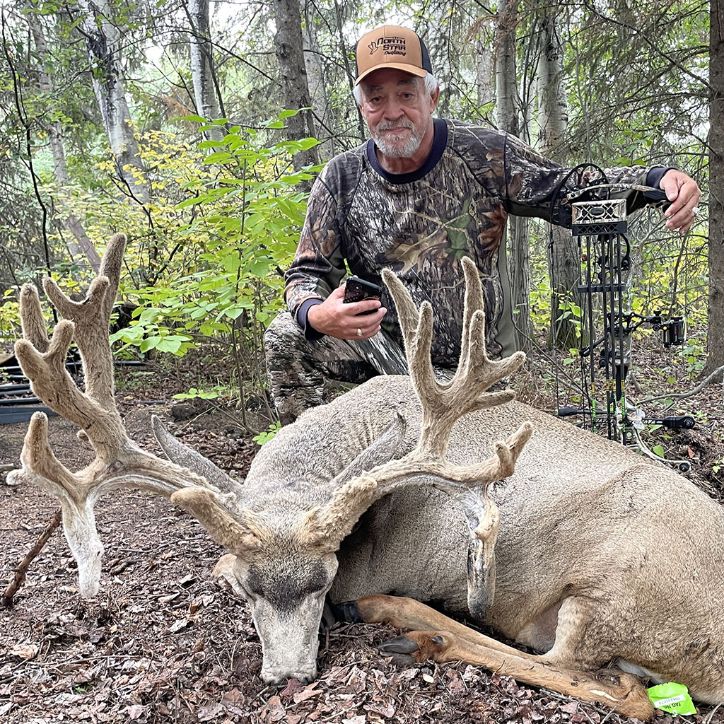 muledeer-bowhunt-alberta