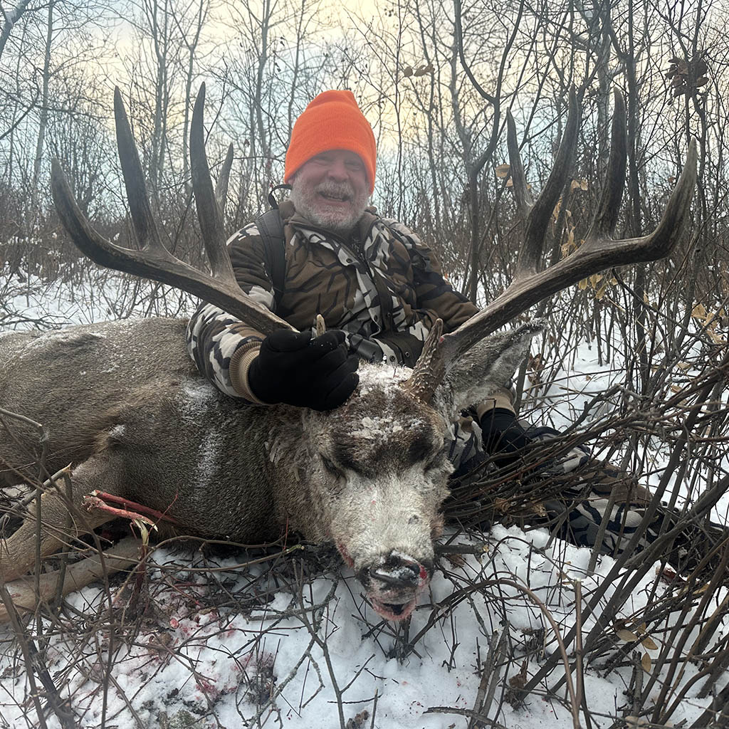 muledeer-hunting-alberta