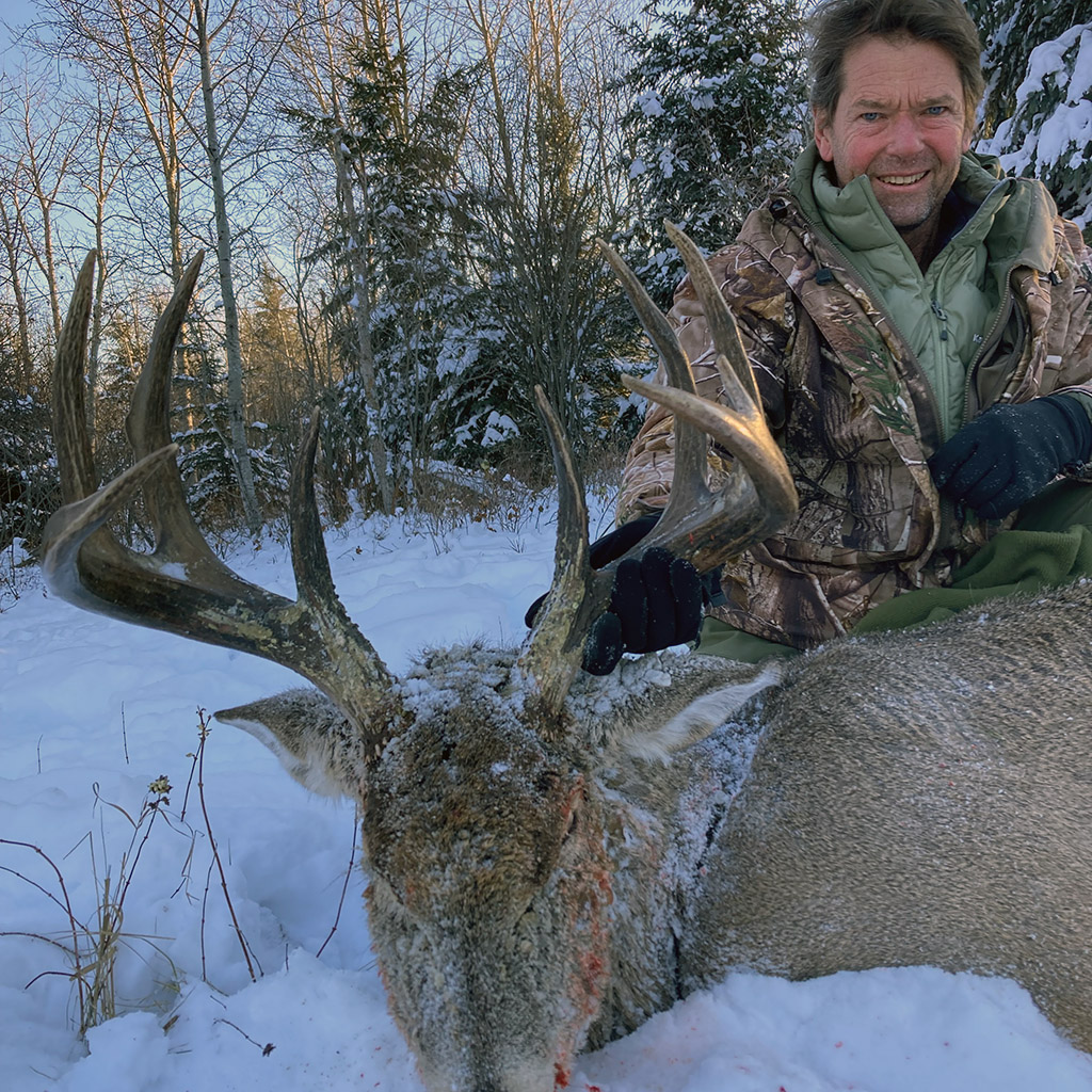 whitetail-deer-hunt-alberta